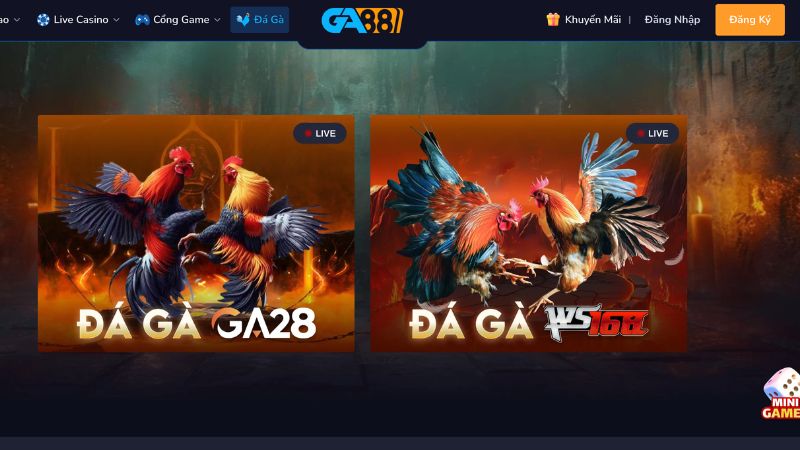Tham gia đá gà GA88 với các trận đấu trực tiếp