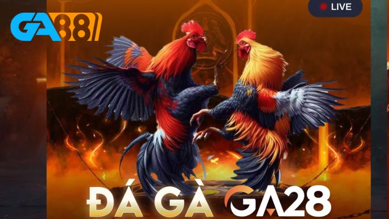 Cách đặt cược đá gà GA88 rất đơn giản
